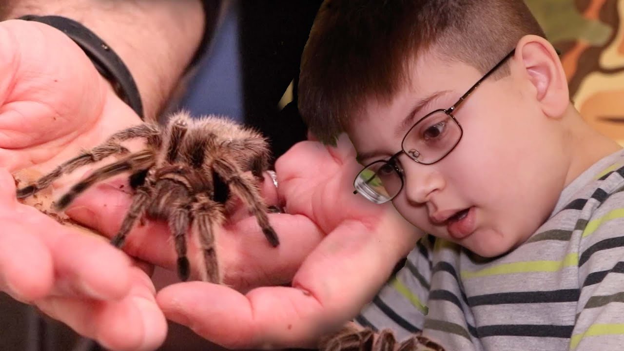 'Bugs rule the world' at Insectropolis in Toms River, New Jersey - YouTube