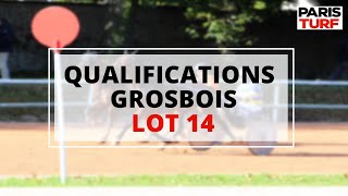 Qualifications Grosbois – Trot attelé – Lot 14 du 05/08/2022