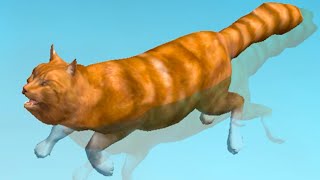:   #3      Ultimate Cat Simulator    