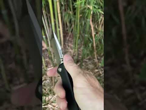 Chaves Ultramar Redencion Street Overview and Flicks!