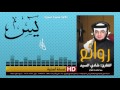 سورة يس شادي السيد أحمد من روائع التلاوات 