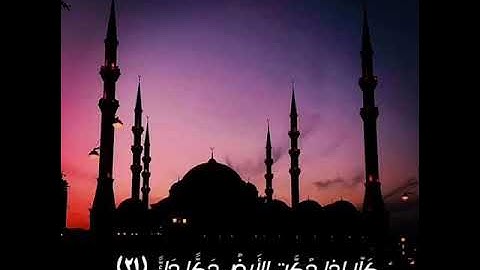 ما تيسر من سورة الفجر/ أبو شمسة الكمزاري