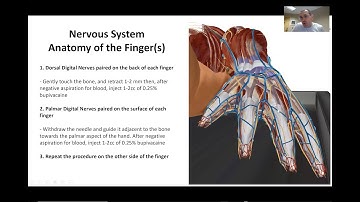 How to Perform a Digital Nerve Block - Live Demonstration