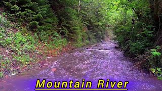 Soothing Sound of a Mountain River. It will restore everyone's emotional state