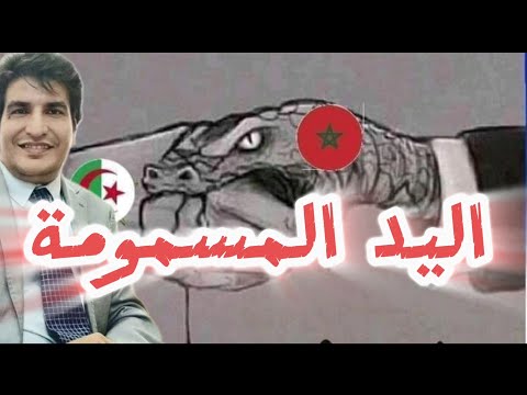 مع مصطفى بونيف مباشر العياشة يصعدون من هجومهم على الجزائر قصة جديدة على البحر و مواضيع أخرى 