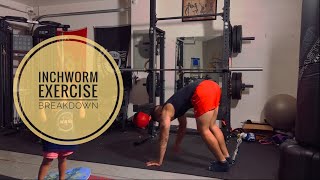 Inchworm Walk Exercise Breakdown