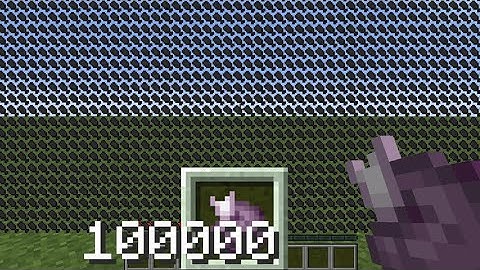 100.000 chorusvruchten per seconde eten