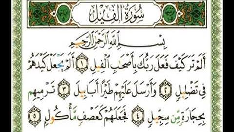 105 - سورة الفيل - ناصر القطامي
