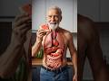 Inside your body eating watermelon #digestion #healthbenefits #shorts