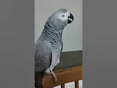 Планы на утро - YouTube