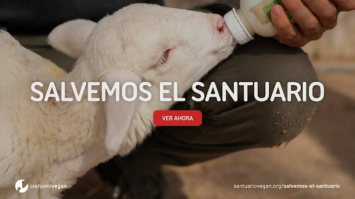 Ayúdanos a salvar el Santuario