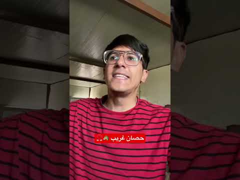 اول مرة اشوف هيج حصان 