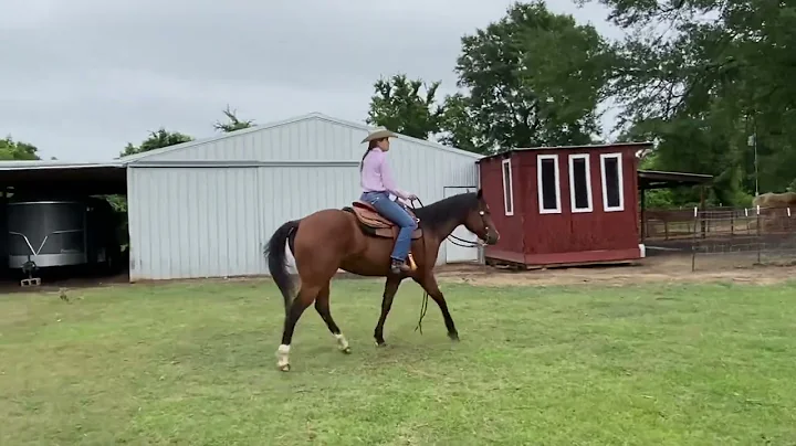 Mati Larrazabal - Class 73 Ranch pleasure walk jog