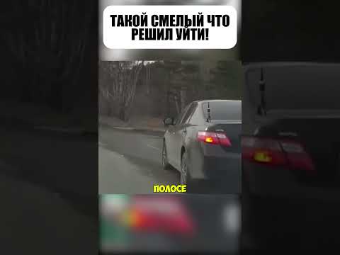 👑💨 Смелый тайотист решил ПРАВИТЬ!