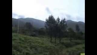 Tierras de Celanova e o Xurés- Lobios