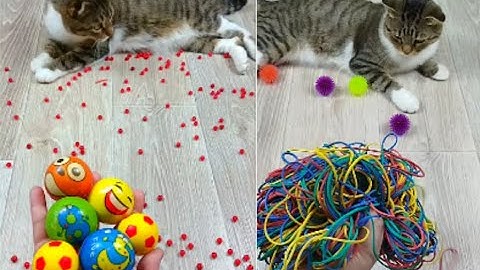 Satisfying Reverse Video ASMR 💥  #shorts #viralshort #funnycat