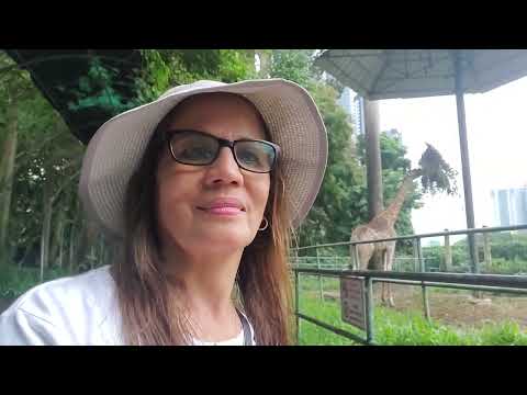 וִידֵאוֹ: תיאור ותמונות של הגן הבוטני וגן החיות (הגן הבוטני) - וייטנאם: העיר הו צ'י מין