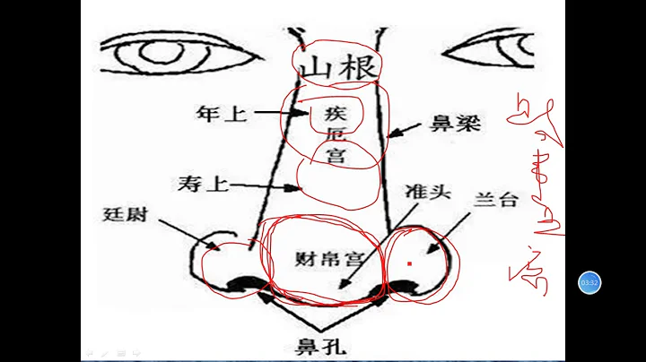 麻衣神相：如何從鼻子面相看人生運勢？ - 天天要聞