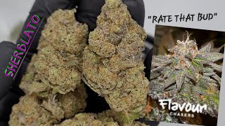 #SHERBLATO "FLAVOUR CHASERS"  #weedstrains #ukweed #shorts #amsterdam #coffeeshop #weed