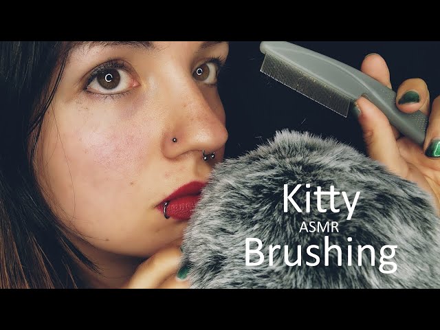 ASMR | Du bist meine Katze und hast Flöhe 🙀 |Bürsten | Brushing | Personal Attention