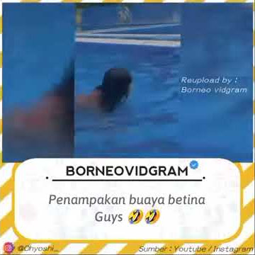 suara buaya betina nih😂 di cek