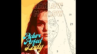 Picture Perfect Lady Promo 