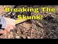 Gold Nugget Metal Detecting and Sunshine in AZ