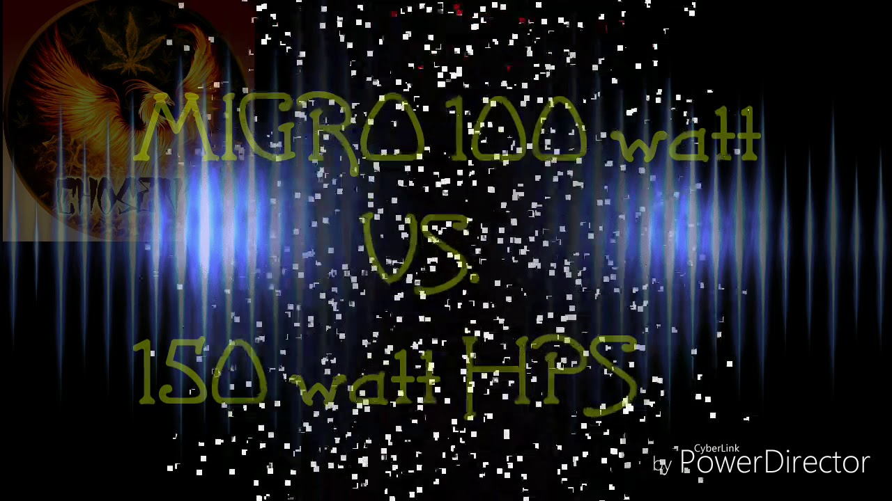 MIGRO 100 watt vs. 150 watt hps