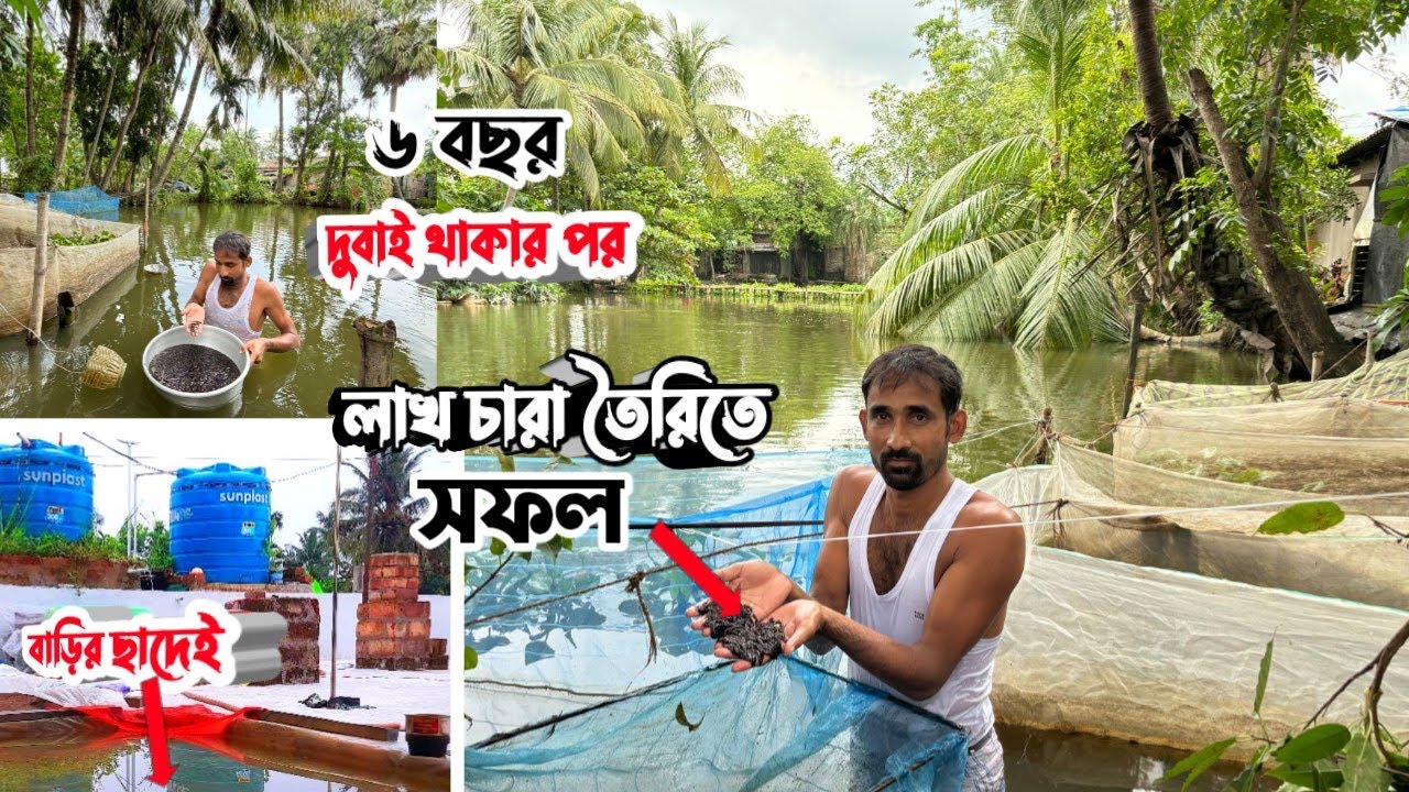 আমার ছাদের ভিডিও দেখে উৎসাহিত হয়ে নিজের ছাদে লাখো চারা তৈরি করতে পেরে দারুণ খুশি চাষিবন্ধু(মিন্টুদা)