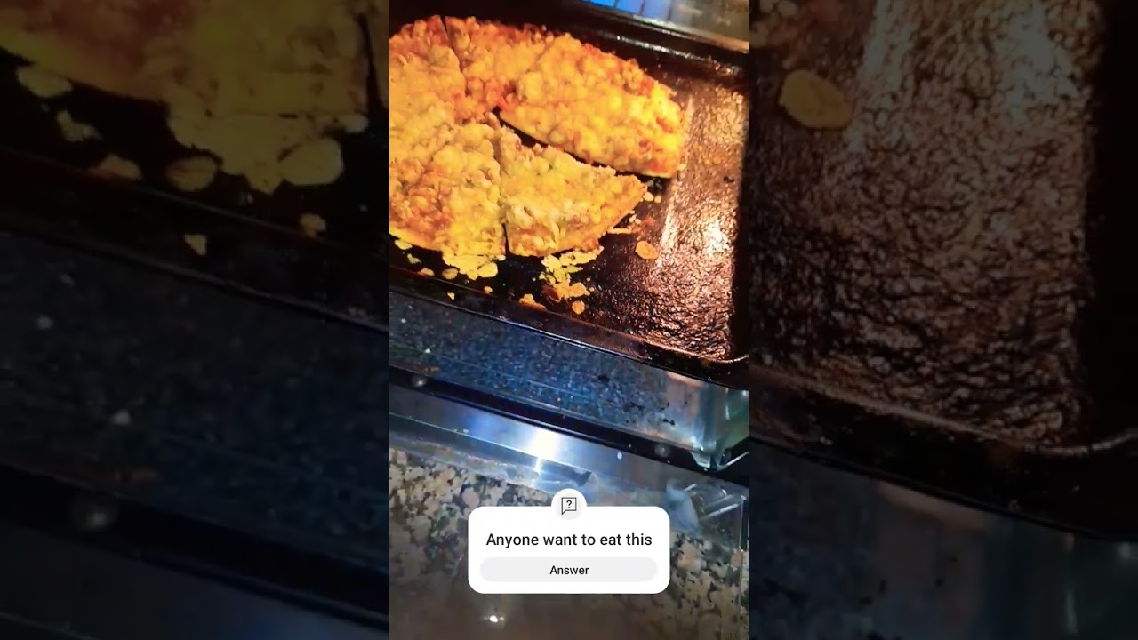 Pizza enjoying a bittle 