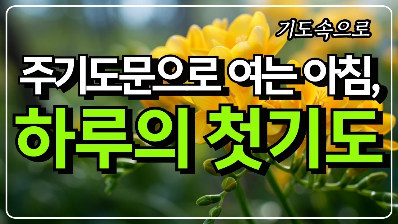 주기도문으로 여는 아침, 하루의 기도 ㅣ 아침기도 ㅣ 주기도문 ㅣ 하루를 시작하는 기도