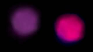 Monolink - In My Place