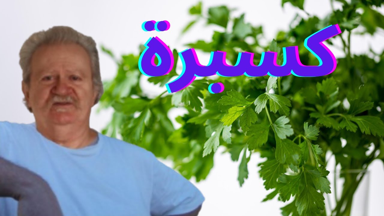 🌿 الكزبرة: لماذا يُحبّها البعض ويكرهها الآخرون؟ (السرّ مكشوف!