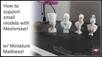 How to support small models with Meshmixer w/Miniature Madness!