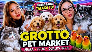 GRABE! Dika Mauubusan ng Magugustuhan na Pets Dito! | Grotto Pet Market Dogs,Cats and Birds