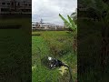 mundur atau maju? #keretaapi #viralvideo #fyp #randomvideo #shortsvideo