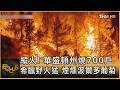 縱火! 華盛頓州燒700戶 希臘野火猛 煙燻波爾多葡萄｜方念華｜FOCUS全球新聞20260804 @TVBSNEWS01