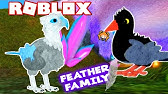 Roblox Wild Pigeon Animals Birds Feather Family Youtube - cannibal pigeon bloopers roblox feather family youtube