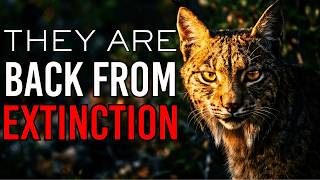 10 Animals That Came Back From The Brink Of Extinction