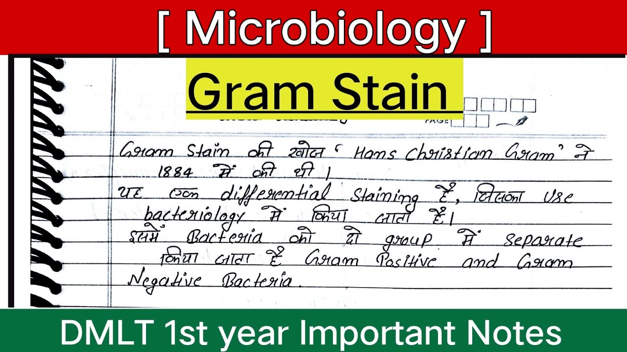 Gram Staining Procedure in Hindi || Steps || Stain || Bacteria - YouTube