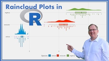 Examining distributions with Raincloud Plots in R