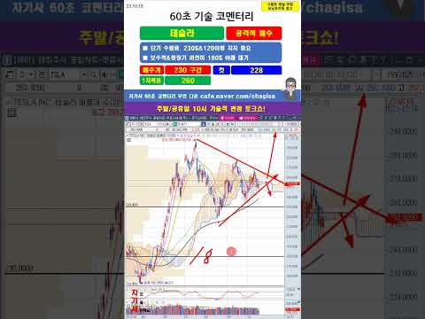 [60초 코멘터리] <strong>TSLA</strong> 테슬라 주가 매매전략 231018