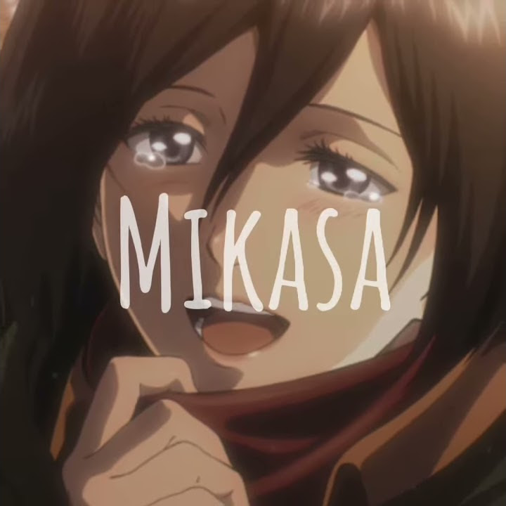 Story wa 30 dtk | Mikasa ackerman