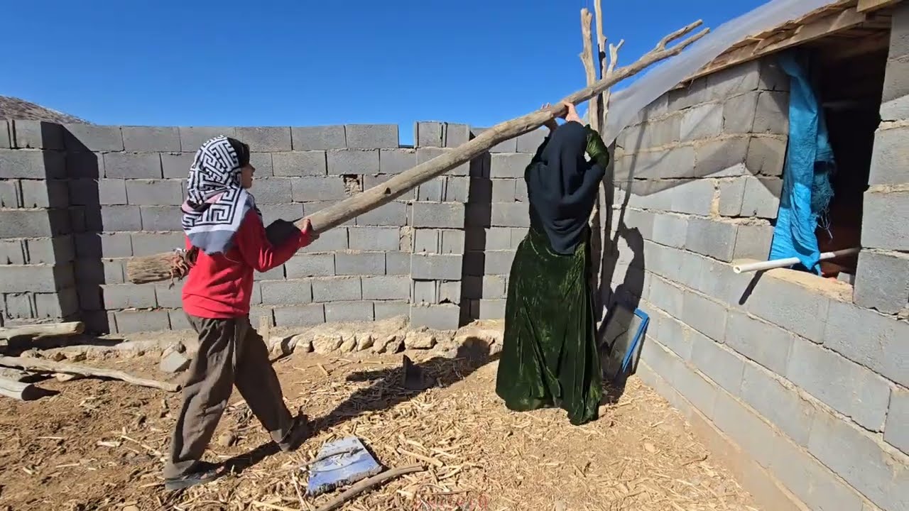 Sakineh's family cooperation in cleaning the sheep pen