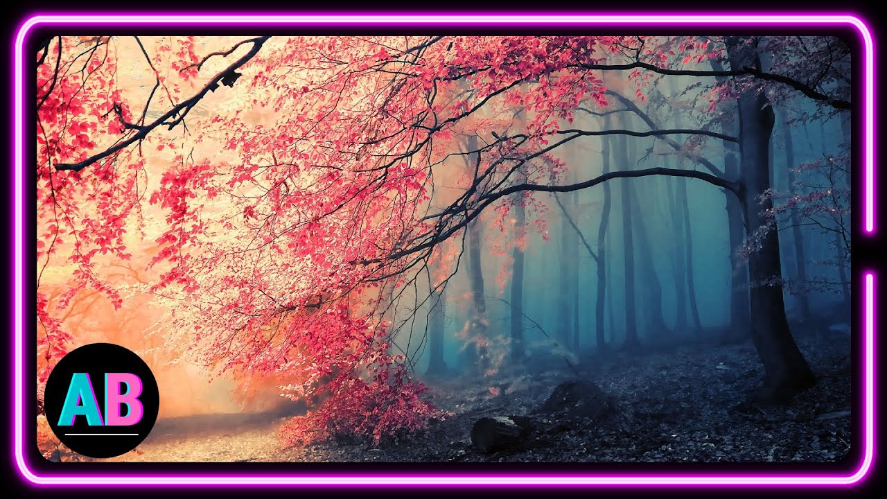 JAPANESE FLUTE with MIRACLE TONE 528Hz Frequency Calming and