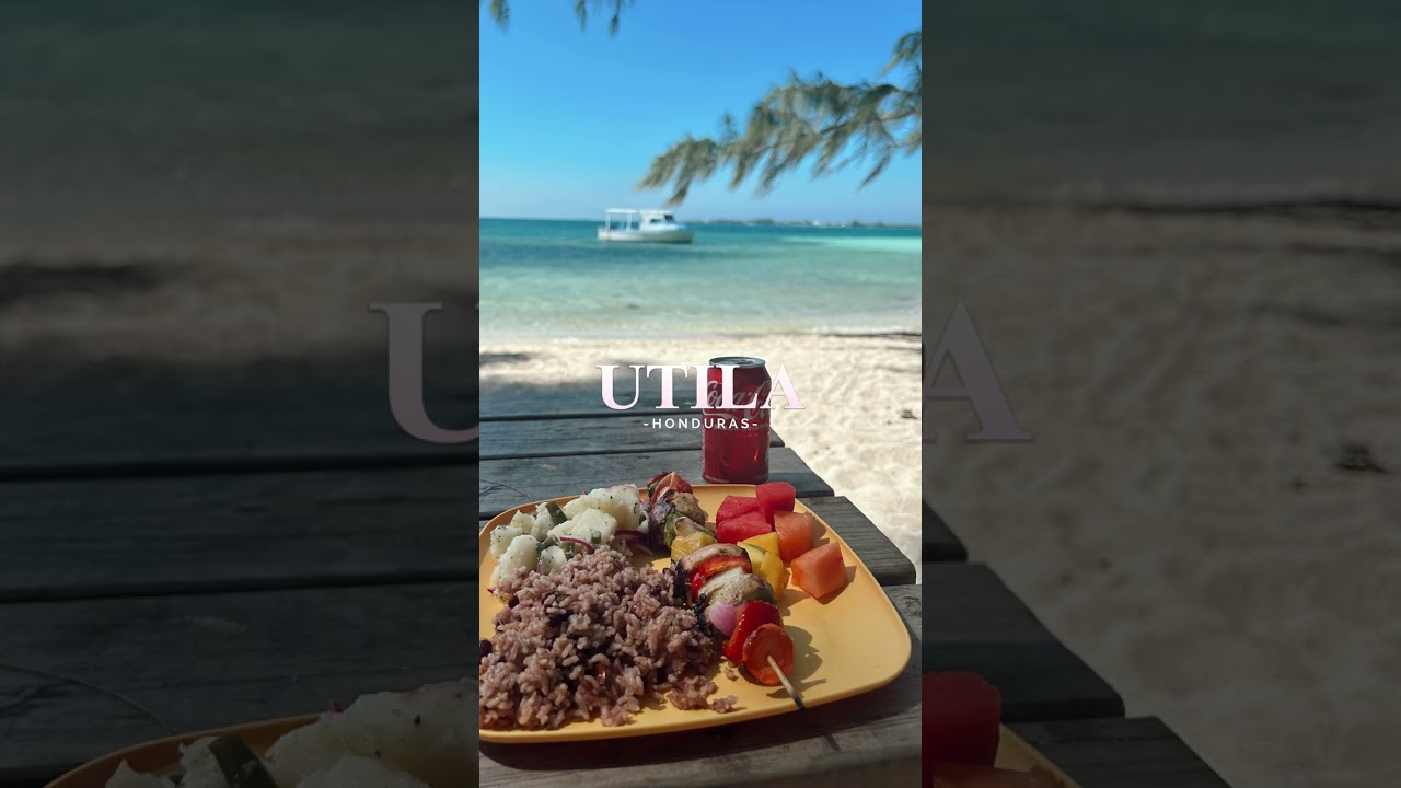 A glimpse of vacation in Utila🤩