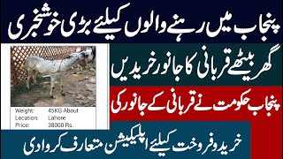 Mobile app for buying and selling animals On Eid ul Adha 2020|bakra mandi online application screenshot 1