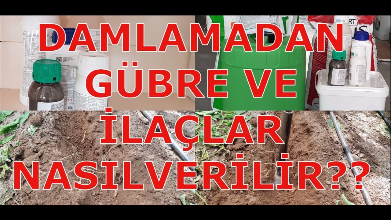 GÜBRE VE İLAÇLAR NASIL VERİLİRSE DAHA YARARLI OLUR???