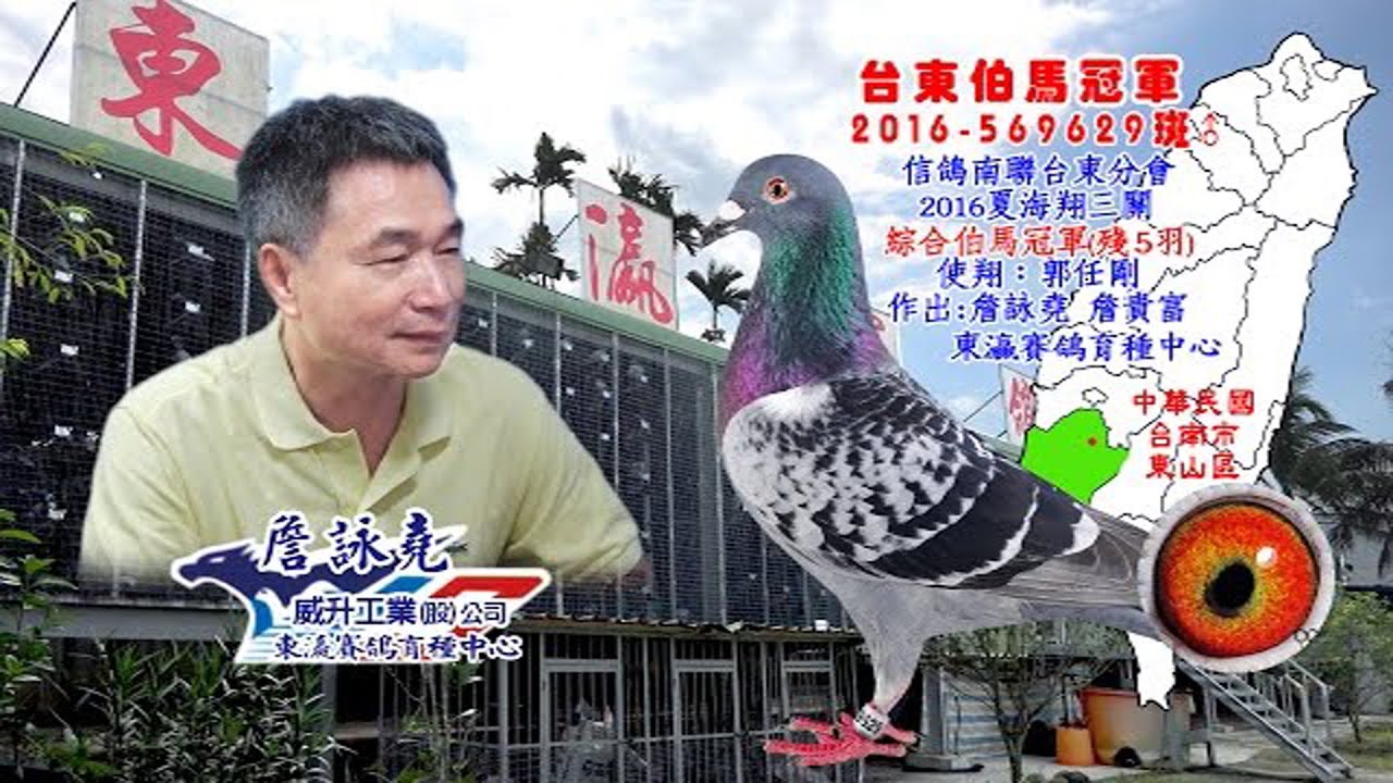 台灣詹森 東灜育種～詹詠堯 誠、信、愛翔賽理念傳承