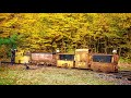 Feldbahnakku- und Fahrdrahtloks beim Fototag im Feldbahnmuseum Herrenleite
